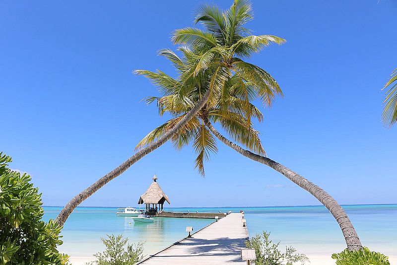 canareef-resort-maldives-800w-72dpi