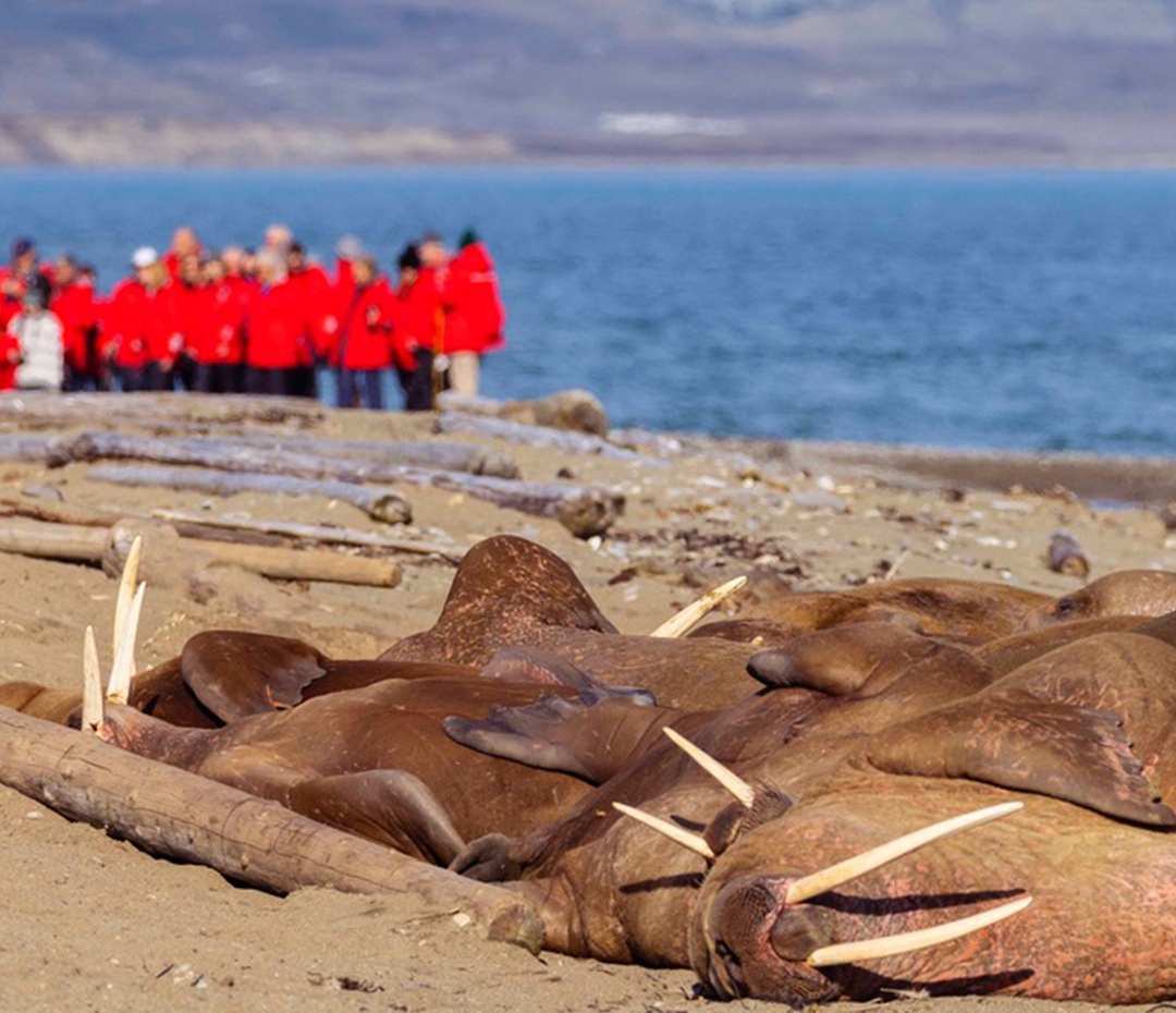 LONGYEARBYEN